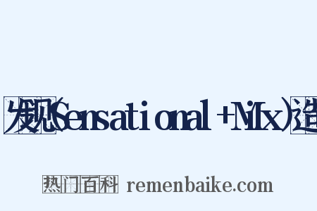 发现（Sensational+Mix）造句是什么意思的图片